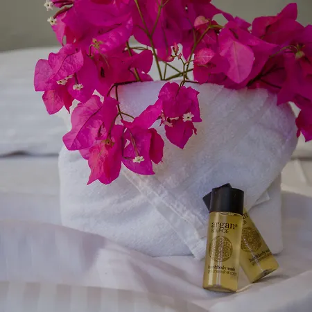 Olga شقة فندقية