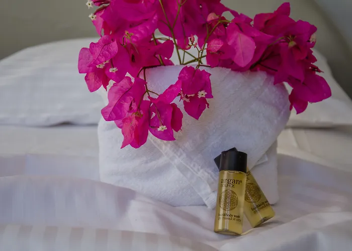 Olga מלון דירות