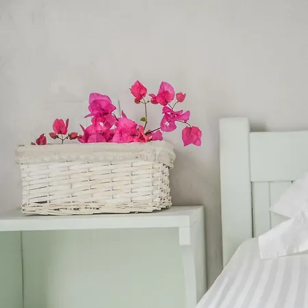 Apart-hotel Olga 4*